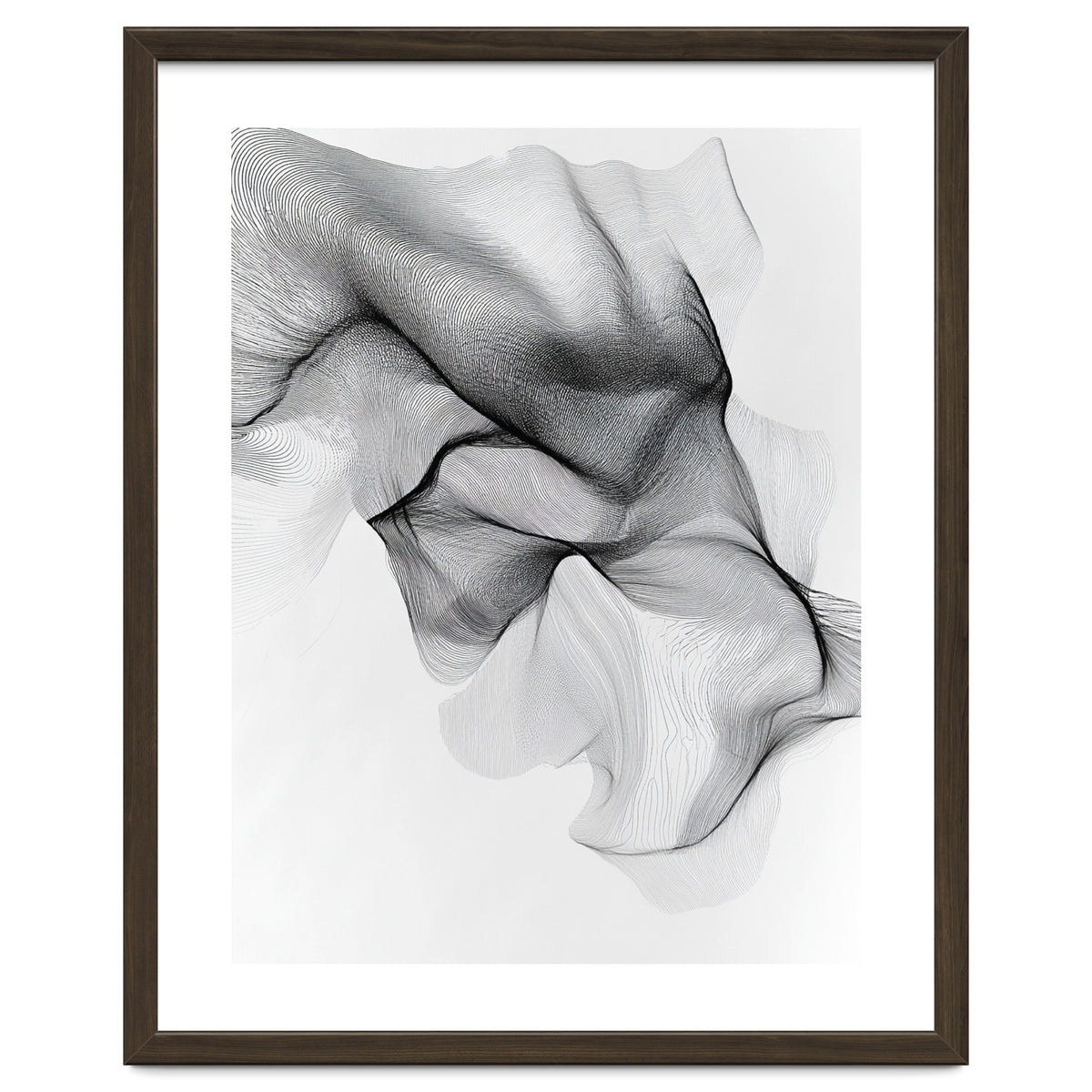Abstract Black And White Flowing Lines Forming Organic Shapes And Forms