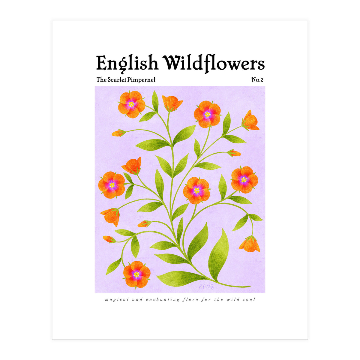 English Wildflowers | Scarlet Pimpernel  (Print Only)