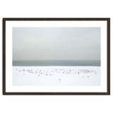 Seagulls in the winter snow beach thumbnail