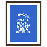 Smart, playful and funny like a dolphin thumbnail
