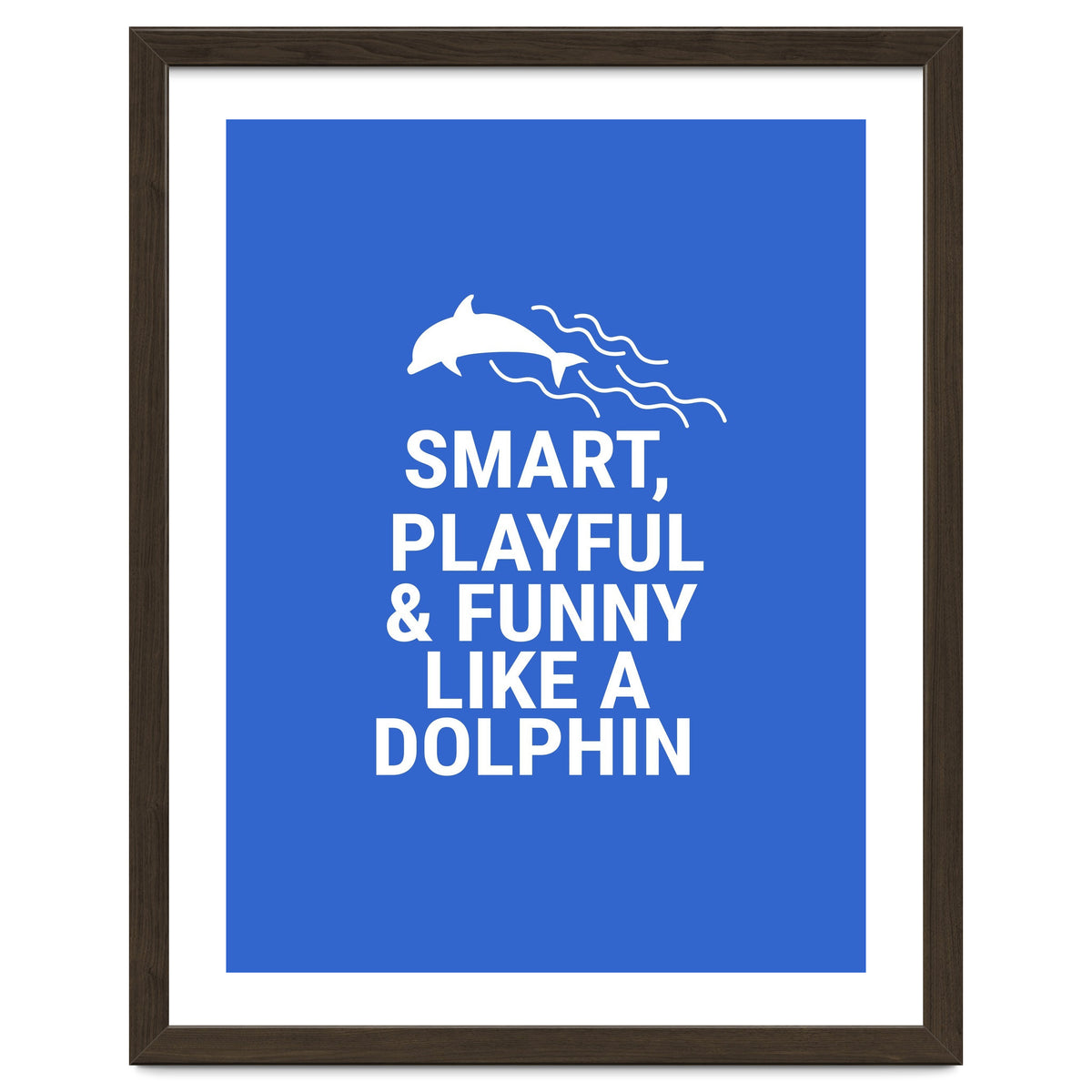 Smart, playful and funny like a dolphin