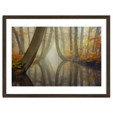 Bent trees in autumn thumbnail