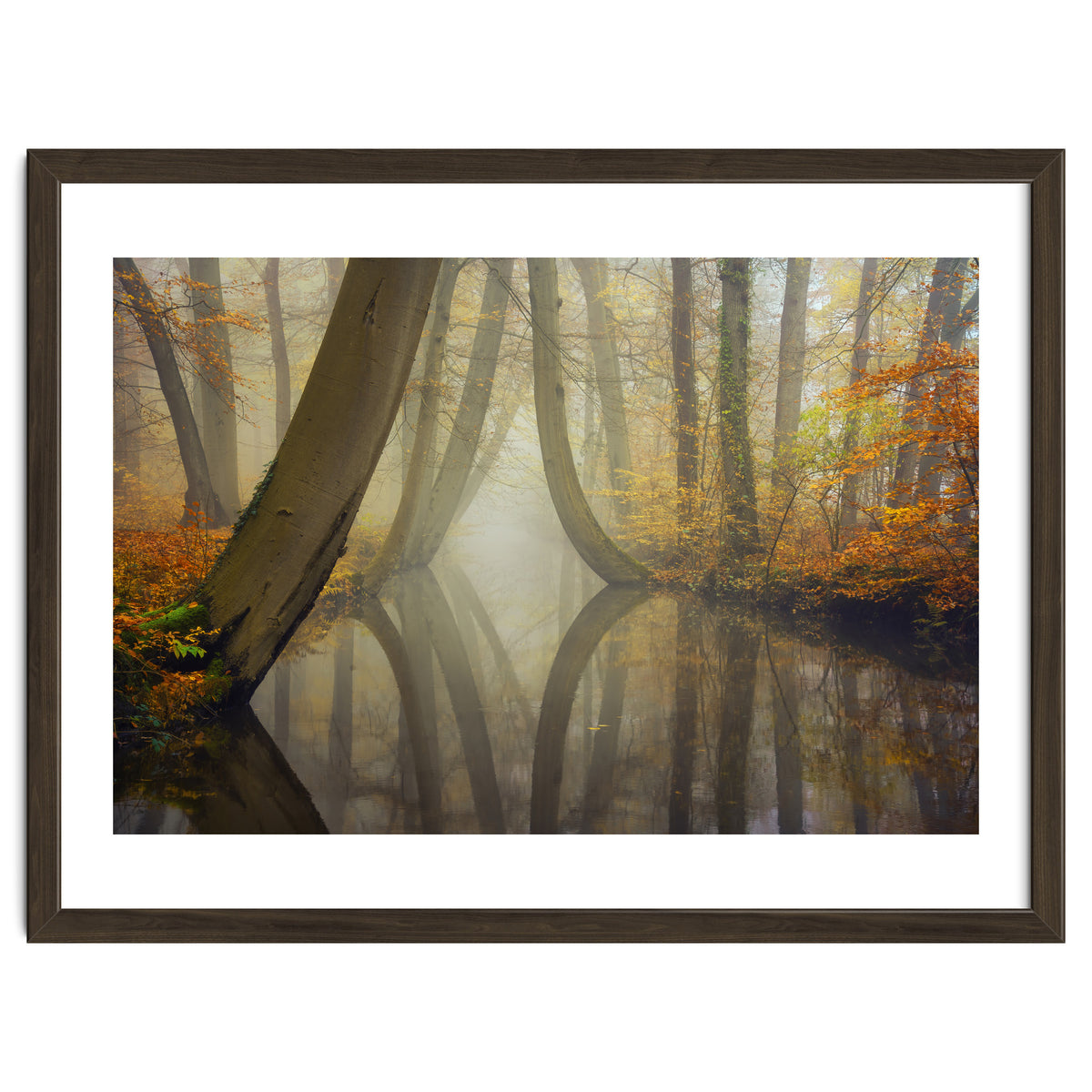 Bent trees in autumn