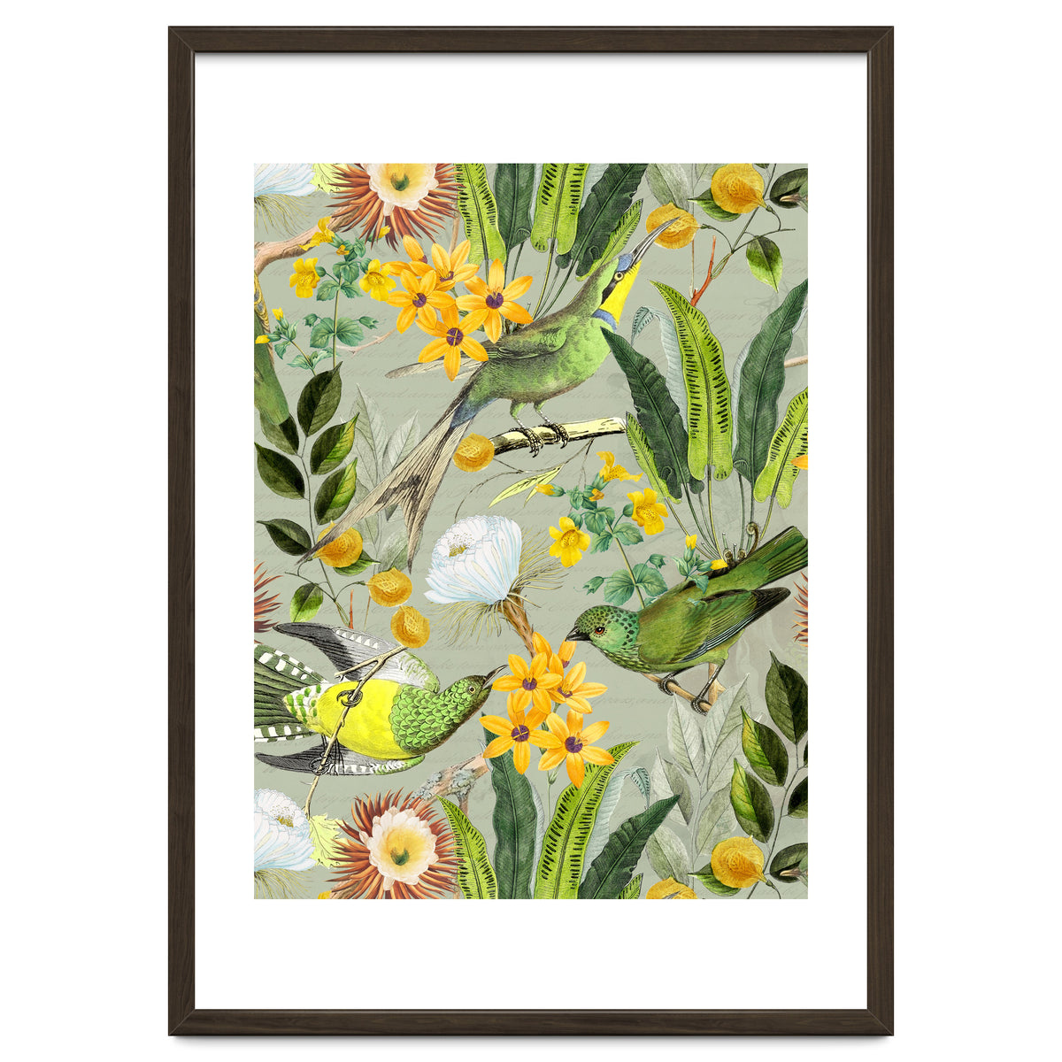 Tropical Birds in Exotic Jungle