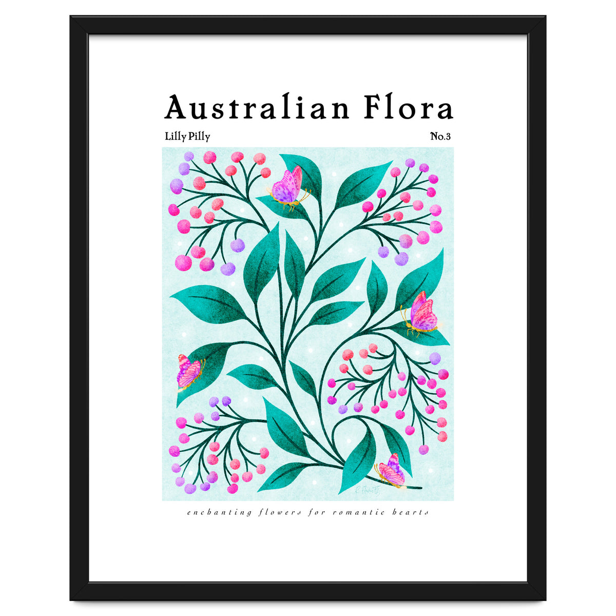 Australian Flora: Lilly Pilly