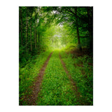 Green Forest Trail (Print Only) thumbnail