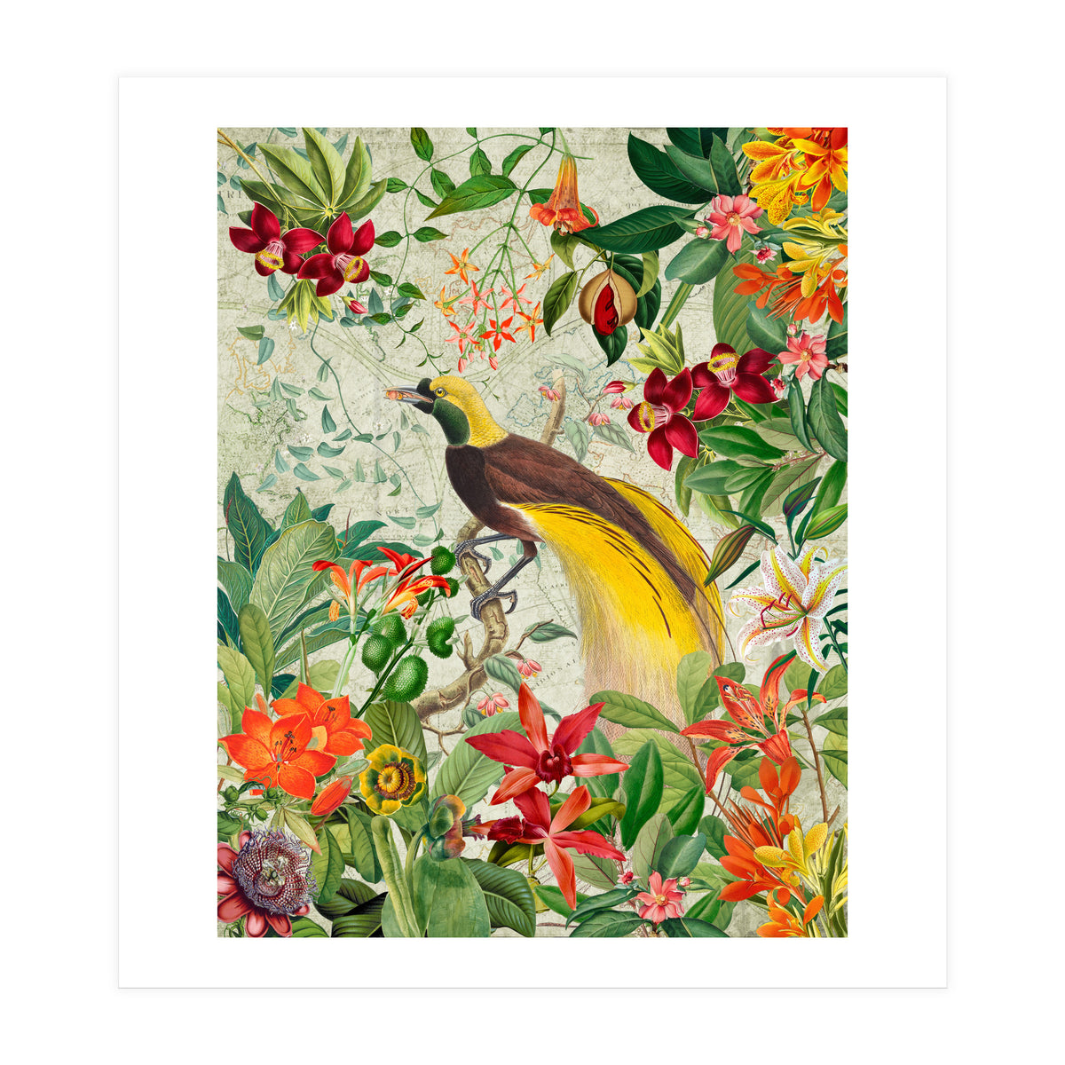 Bird of paradise vintage jungle  (Print Only)