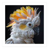 Close Up Of A Cockatoo Parrot With Yellow Crest (Print Only) thumbnail