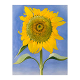Georgia O’Keeffe – Sunflower, New Mexico (1935) | Bold Modernist Floral Painting Inspired by the American Southwest (Print Only) thumbnail