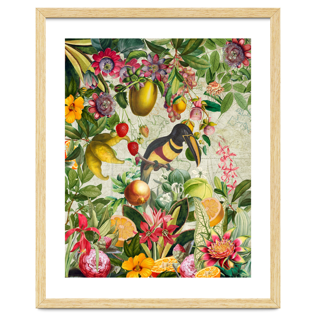 Toucan vintage jungle