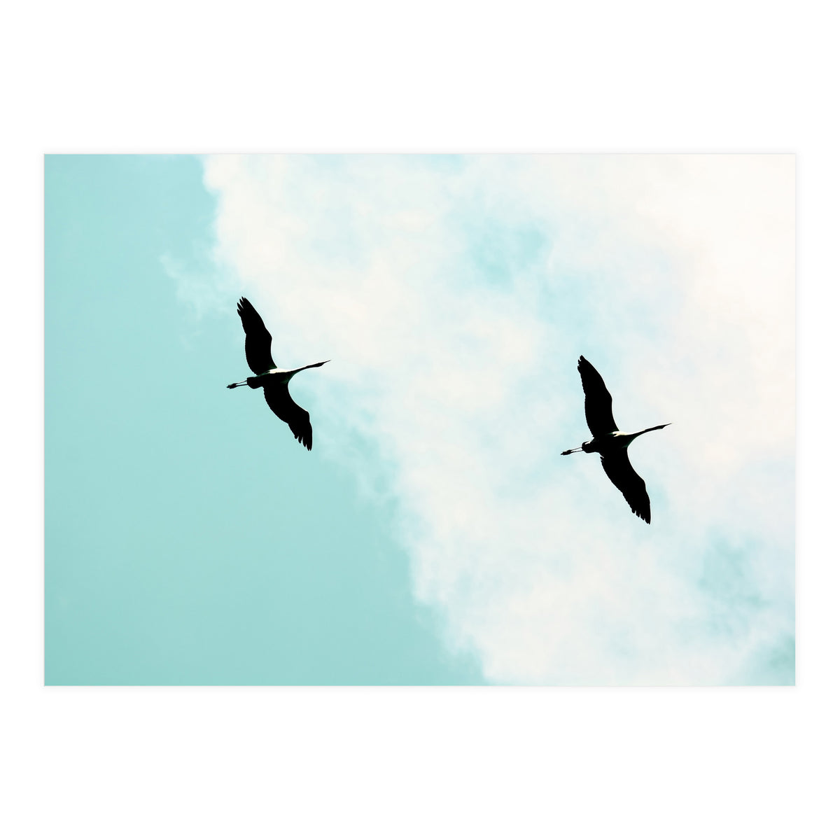 Crane(s) V (Print Only)