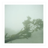 Silence of breath - 07 (Print Only) thumbnail