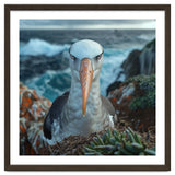 Black Browed Albatross Perched On Nest Near Ocean thumbnail