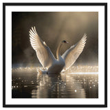 Graceful Swan Spreading Wings On Sparkling Water thumbnail