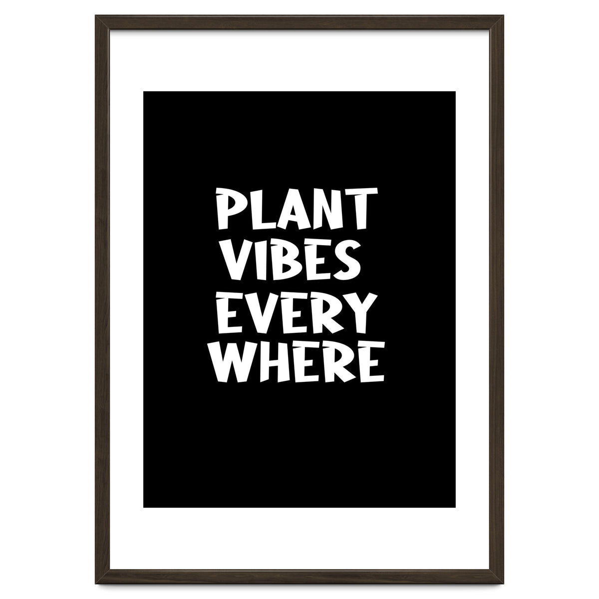 Plant vibes everywhere