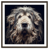 Old Dog 010 thumbnail