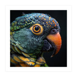 Close Up Of A Colorful Parrot's Face (Print Only) thumbnail