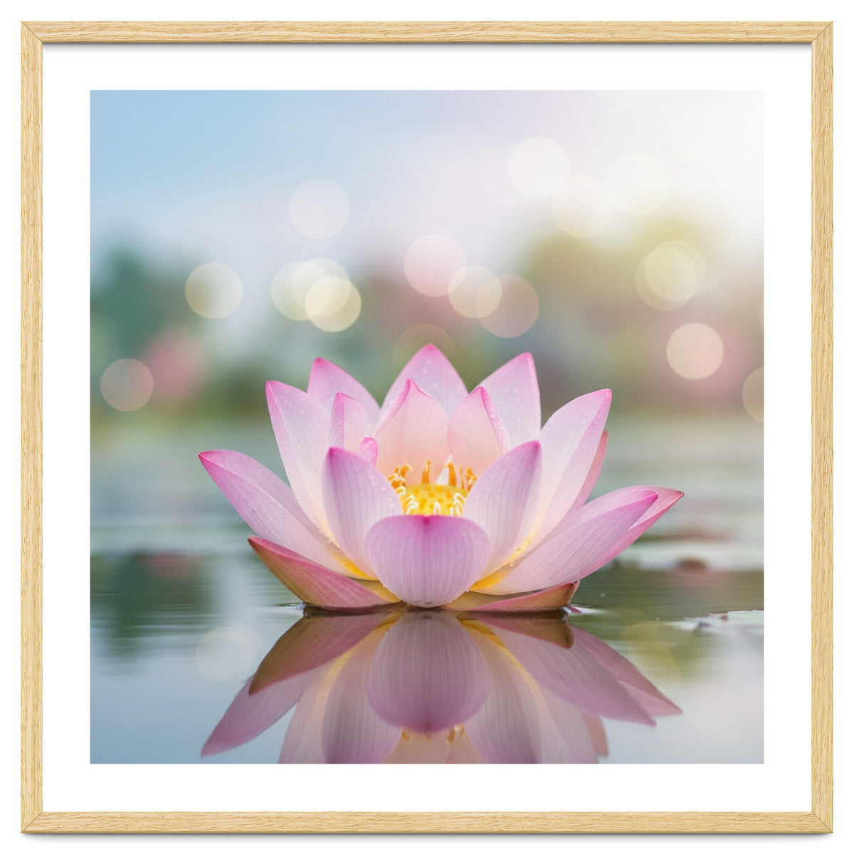 Ethereal Lotus Bloom: Serene Botanical Reflection