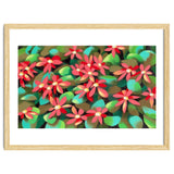 Red flowers thumbnail