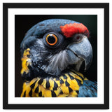 Close-up Portrait of a Vibrant Parrot thumbnail