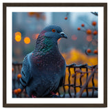 Pigeon With Water Droplets thumbnail