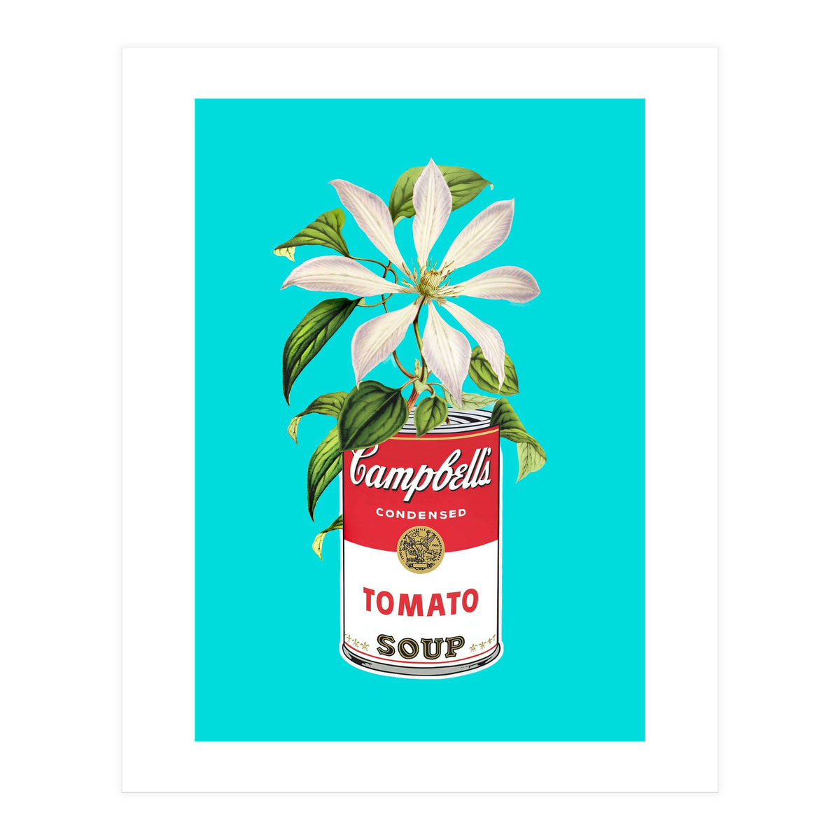 Floral Campbells (Print Only)