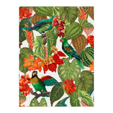 Tropical Parrots In Flower Jungle  (Print Only) thumbnail