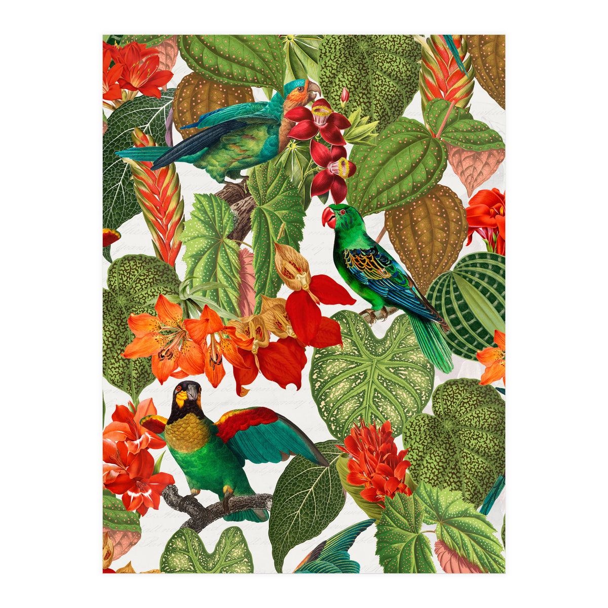 Tropical Parrots In Flower Jungle  (Print Only)