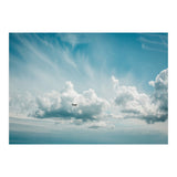 Airborne (Print Only) thumbnail
