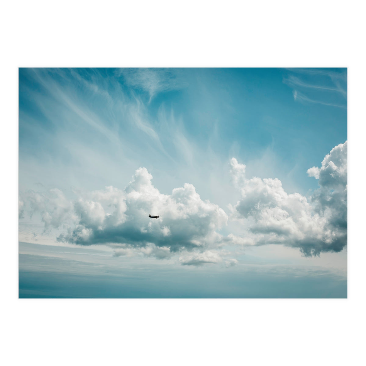 Airborne (Print Only)