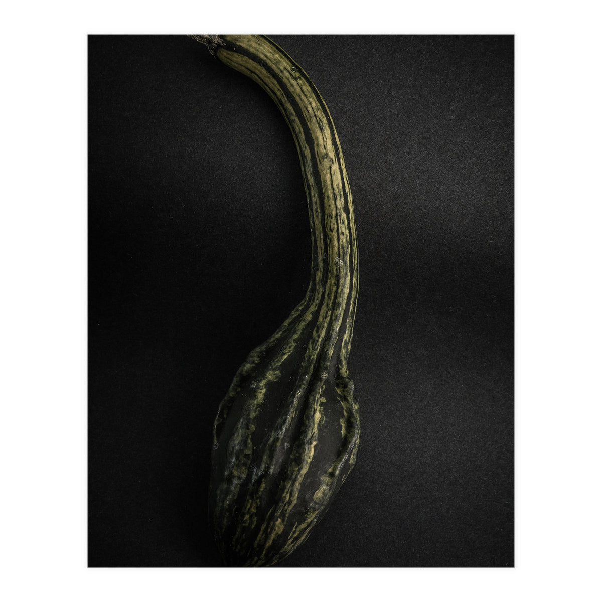 Gourds No 9 Color Version (Print Only)