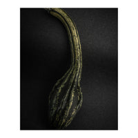 Gourds No 9 Color Version (Print Only)