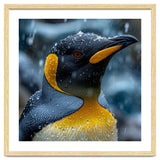 King Penguin Close Up In The Rain thumbnail