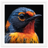 Vibrant Bird With Orange And Blue Plumage thumbnail
