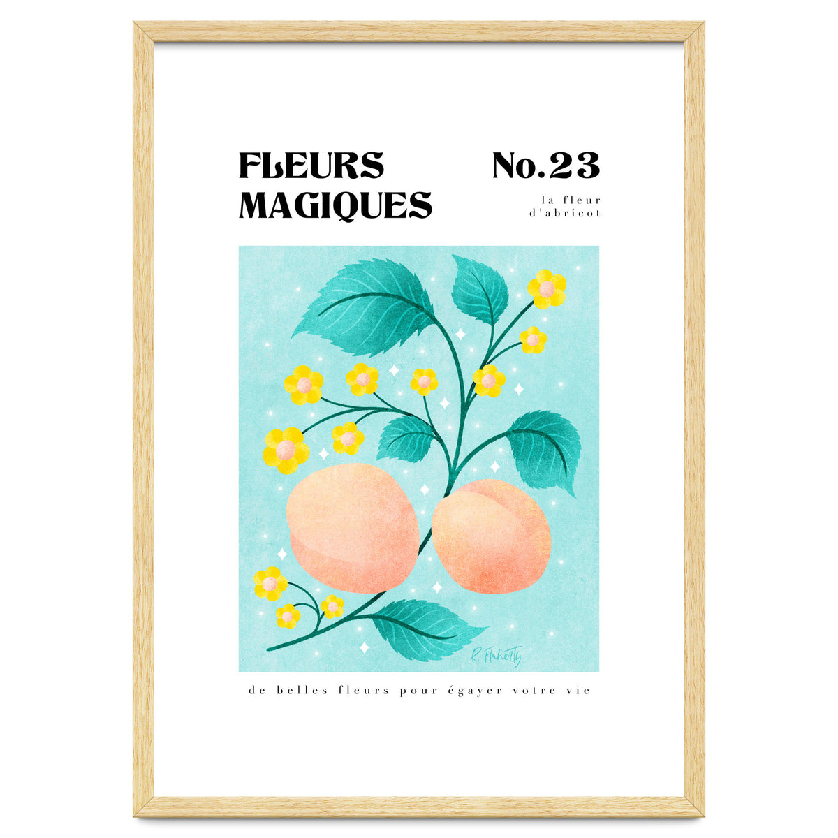 Magical Flowers No.23 Apricot Blossom