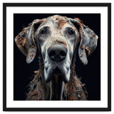 Old Dog 04 thumbnail