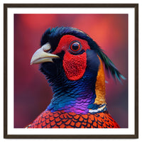 Close Up Pheasant Bird Head Detailed Feathers