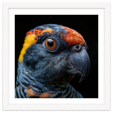 Close Up Of A Colorful Parrot Bird's Head thumbnail