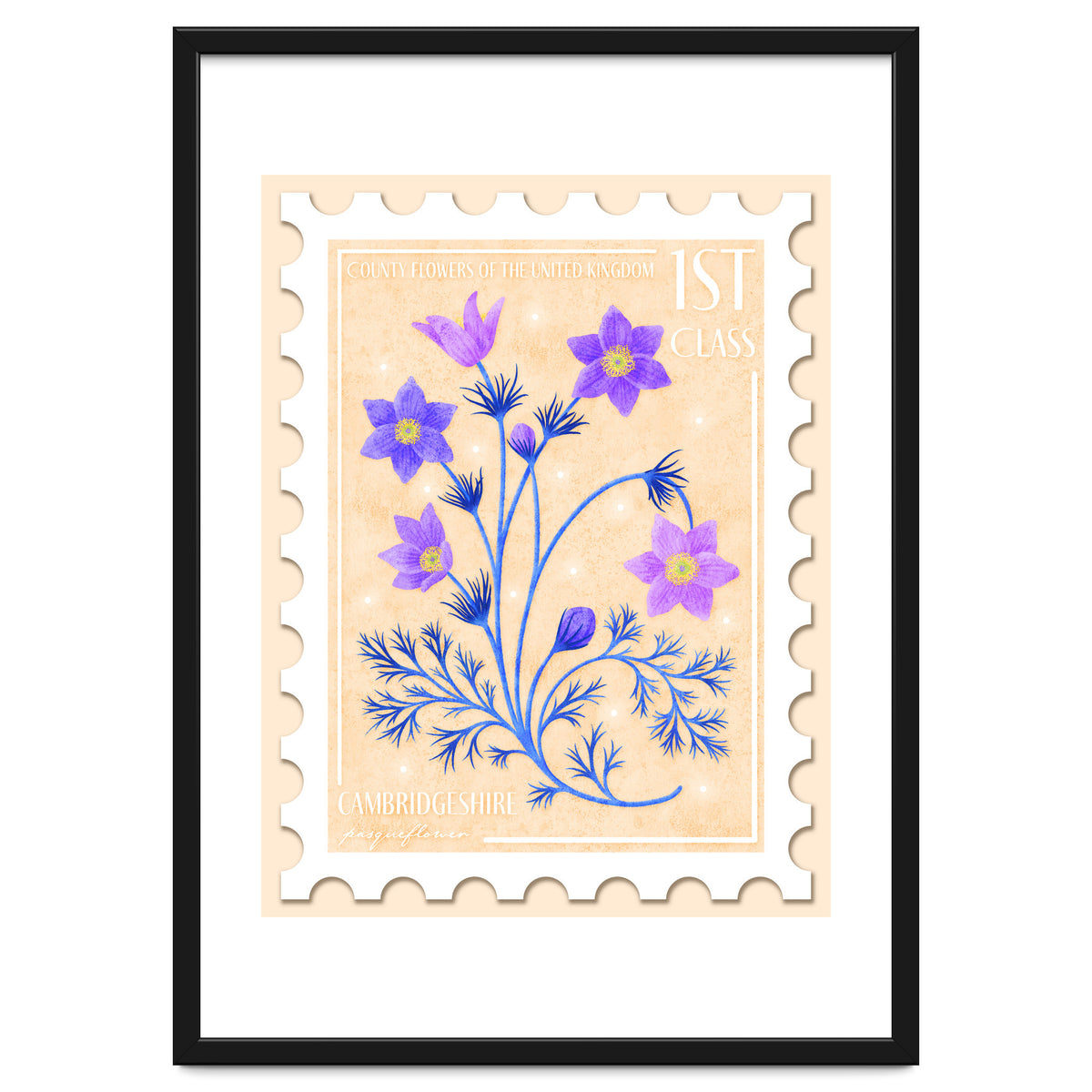 The Cambridgeshire Pasqueflower Postage Stamp