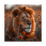 Majestic Lion Resting Among Orange Flowers (Print Only) thumbnail
