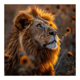 Majestic Lion In A Field Of Sunflowers (Print Only) thumbnail