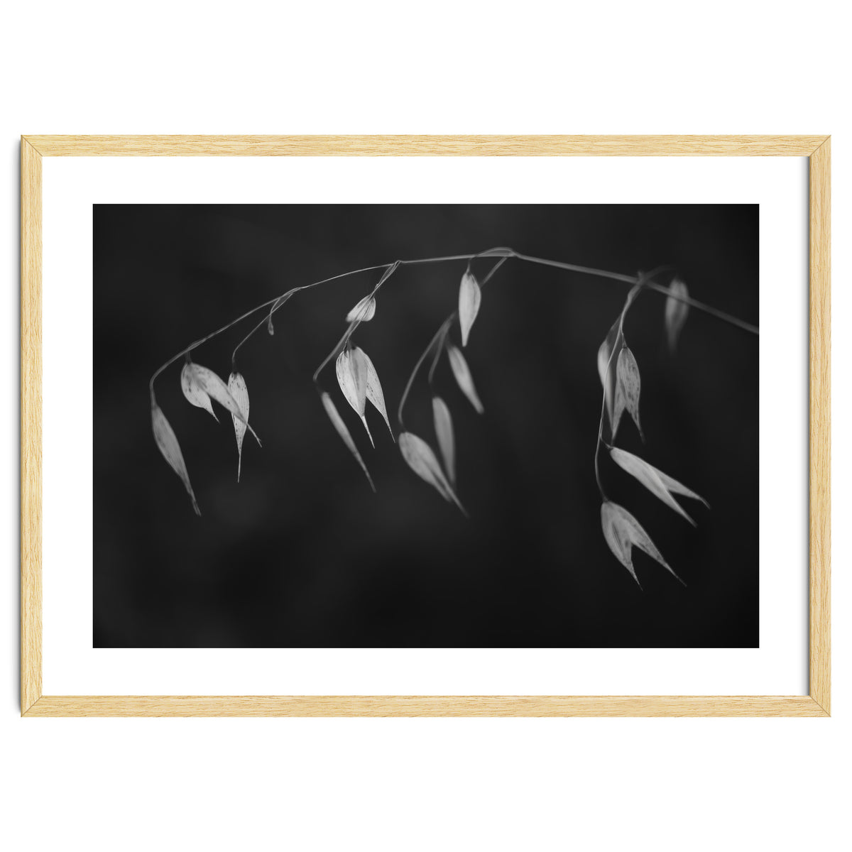 In light of current events II