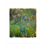 Claude Monet (1840-1926). Agapanthus. (Print Only) thumbnail