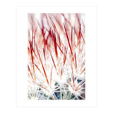 Delicate Florals (Print Only) thumbnail