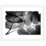 Branches and Leaves, 2016, 3 thumbnail