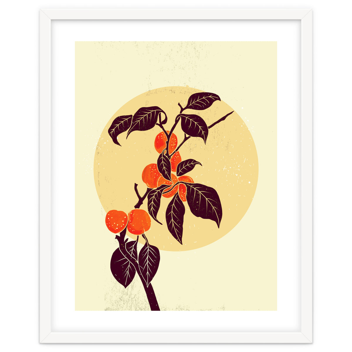 Peach Tree in the moonlight