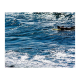 Forward (Print Only) thumbnail