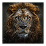 Majestic Lion With Glowing Eyes Close Up Portrait (Print Only) thumbnail