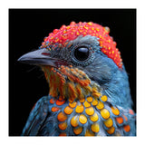 Close Up Of Colorful Bird With Water Droplets (Print Only) thumbnail