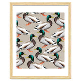 Mallards thumbnail